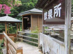 四万たむら プール、足湯、飲泉所